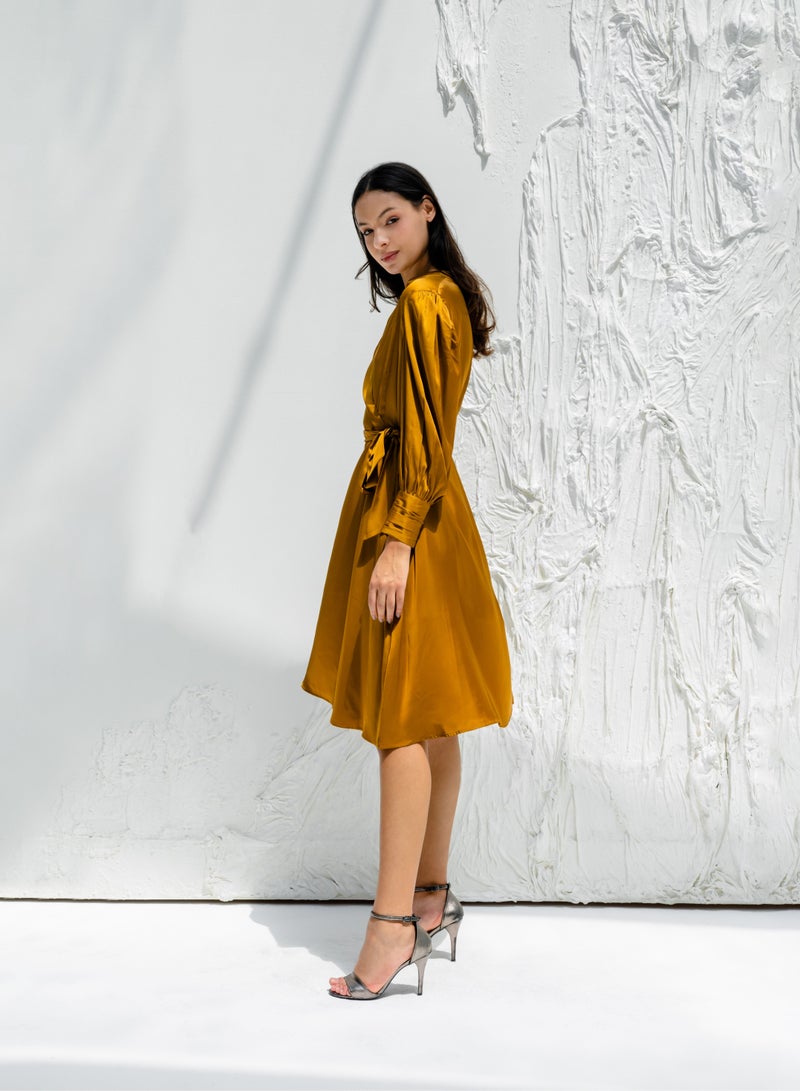 COTTONNAIVE LADIES SILK DRESS WITH BUTTONED SLEEVE DETAILS AND WAIST BELT  - Image 2