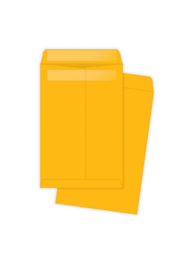 Quality Park Qua43167 Rediseal 6 X 9 Inch Kraft Catalog Envelopes 100 Countlight Brown - Image 1