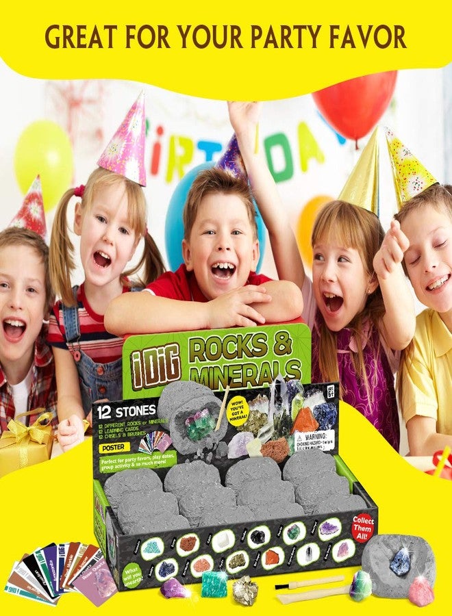 XXTOYS 12 Natural Rock & Mineral Dig Kit - Educational STEM Toy for Kids, Mining Gemstones, Rocks, and Minerals - Party Favors for Boys & Girls - Image 4