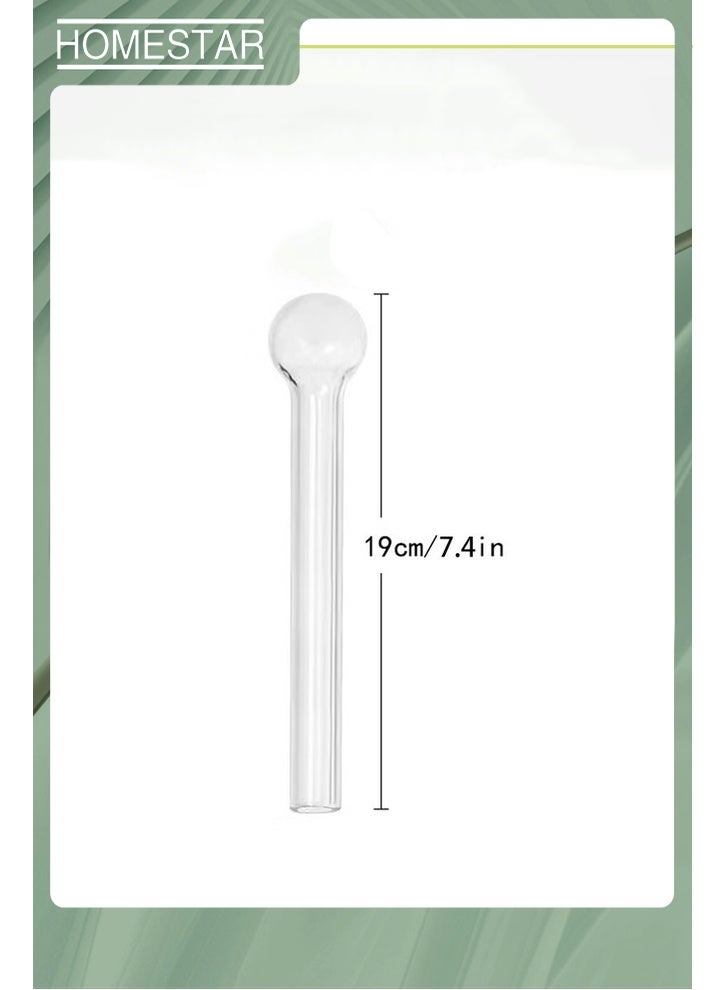 HOMESTAR 2Pcs Glass Tubes, Suitable for Juice, Drink, Coffee, Milk Tea Stirring, Essential, For Home, Outdoor and Camping - Image 2
