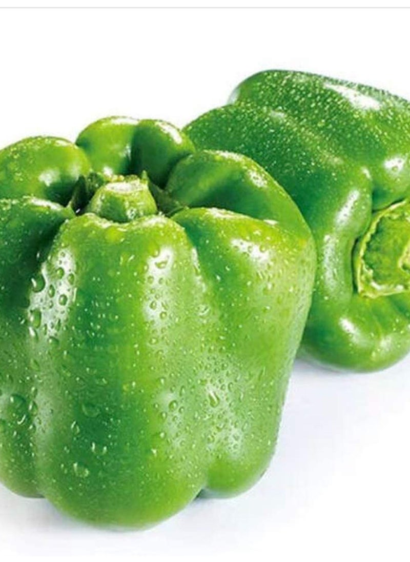 GGOOT 100pcs Bell Pepper Seeds High-Yield Green Vegetables Non-GMO No Pollution Can Be Harvested  - Image 2