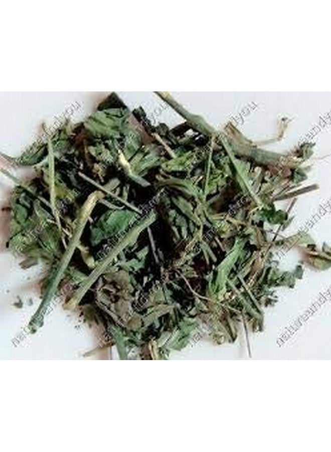 Neotea Nilavembu Kudineer Powder | Green Chirata Kirayata | Andrographis Paniculata Kalmegh | Siriyanangai Kashayam Chooranam | 100% Pure & Natural Herbal Powder | Directly Sourced from Farmers | Immunity Booster | 500 GM - Image 3