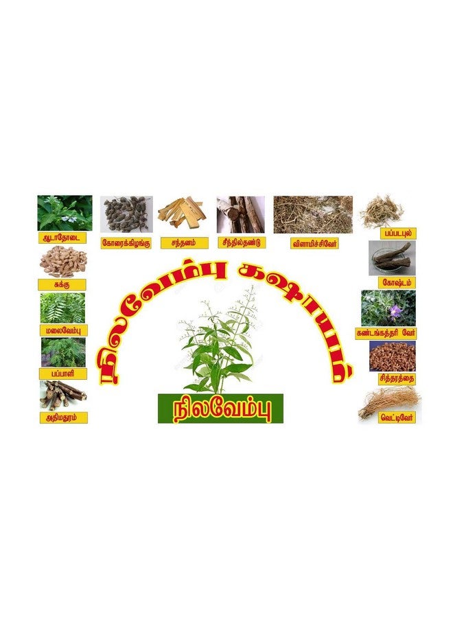 Neotea Nilavembu Kudineer Powder | Green Chirata Kirayata | Andrographis Paniculata Kalmegh | Siriyanangai Kashayam Chooranam | 100% Pure & Natural Herbal Powder | Directly Sourced from Farmers | Immunity Booster | 500 GM - Image 2