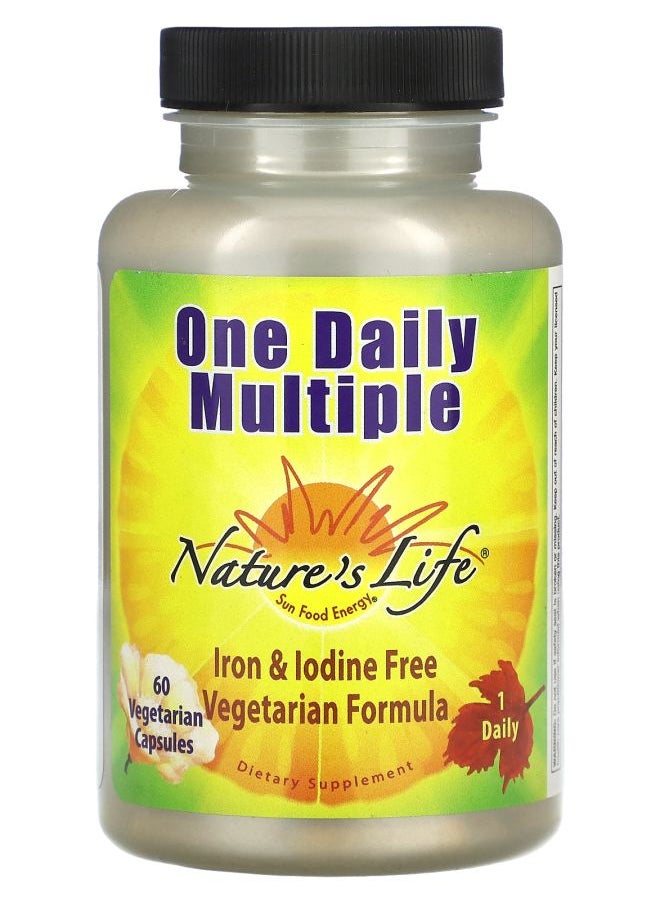 Nature's Life One Daily Multiple 60 Vegetarian Capsules 
