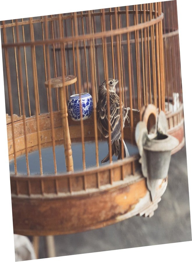 VICASKY 10sheets Bird Cage Liner Pads Professional Bird Gravel Paper for Cleaning Trimming Claws Sandpaper Mat for Parrots - Image 4