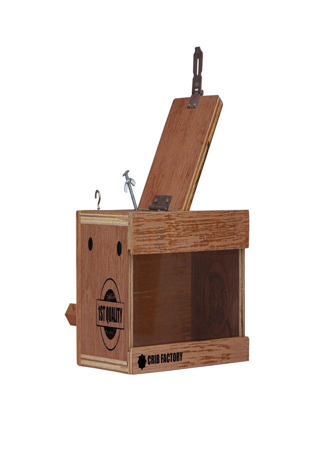 CRIB FACTORY Breeding Box for African Love Birds | QULITY Plywood | 10 X 6 X 6 INCH (Glass Window Without Wooden Slider) - Image 3