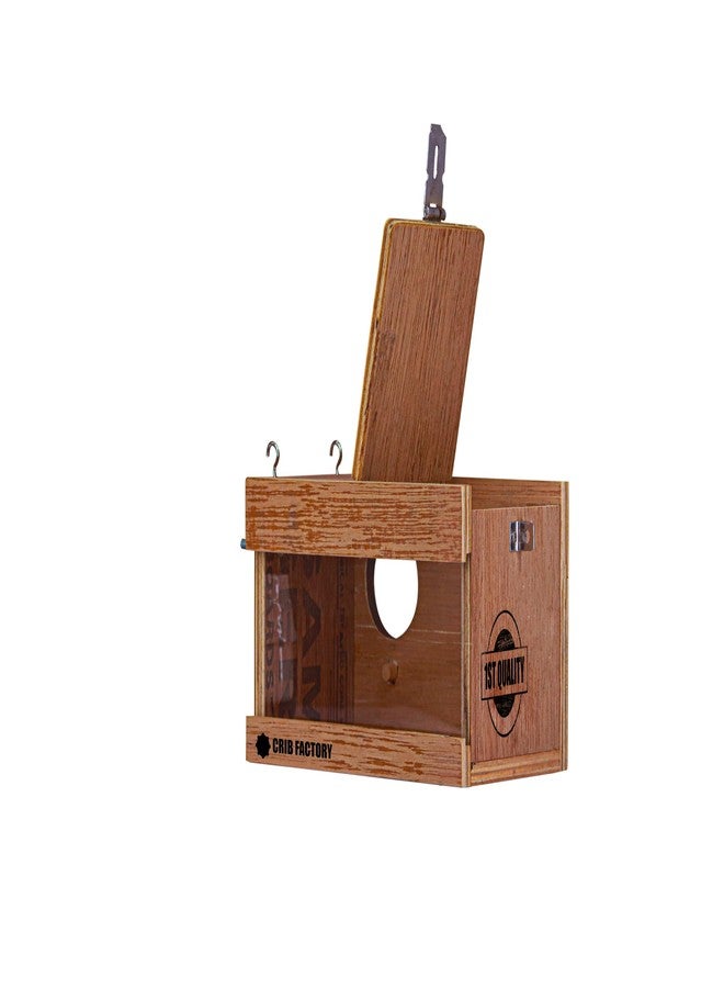 CRIB FACTORY Breeding Box for African Love Birds | QULITY Plywood | 10 X 6 X 6 INCH (Glass Window Without Wooden Slider) - Image 4