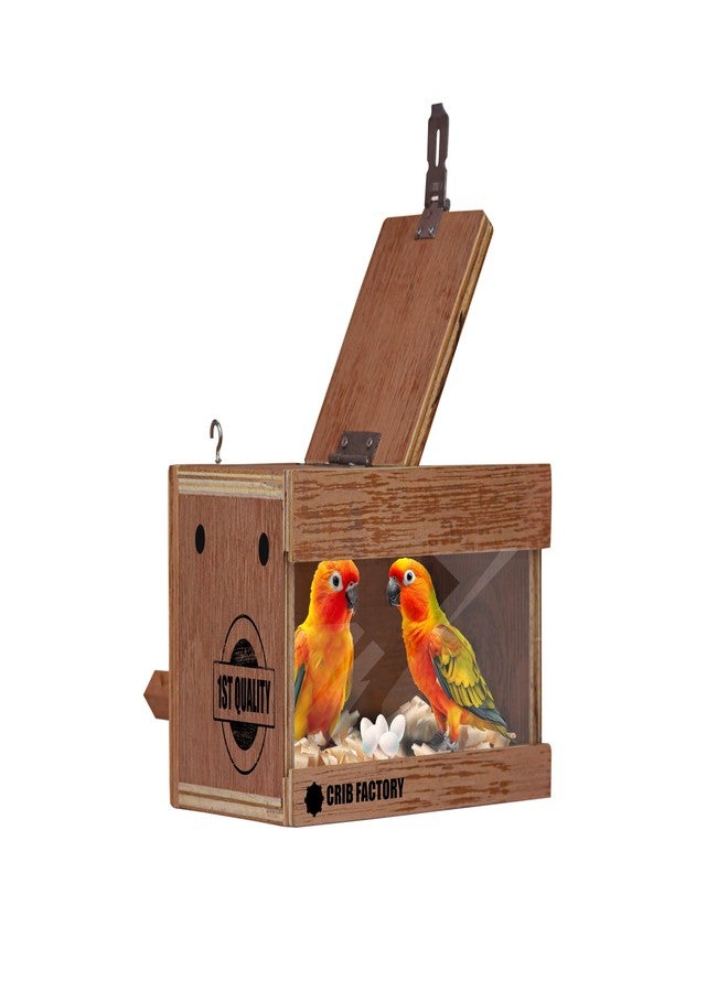 CRIB FACTORY Breeding Box for African Love Birds | QULITY Plywood | 10 X 6 X 6 INCH (Glass Window Without Wooden Slider) - Image 1