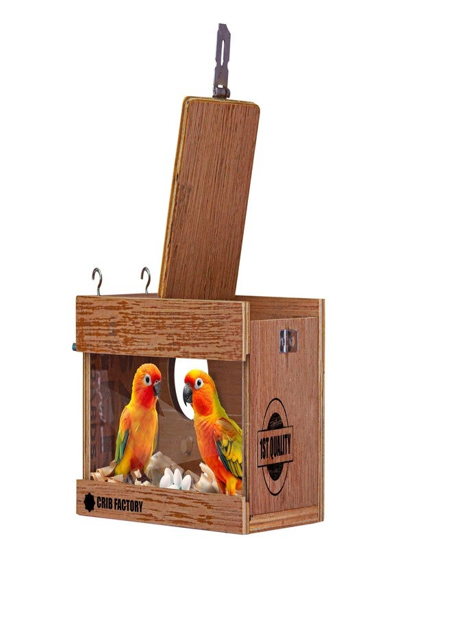 CRIB FACTORY Breeding Box for African Love Birds | QULITY Plywood | 10 X 6 X 6 INCH (Glass Window Without Wooden Slider) - Image 2