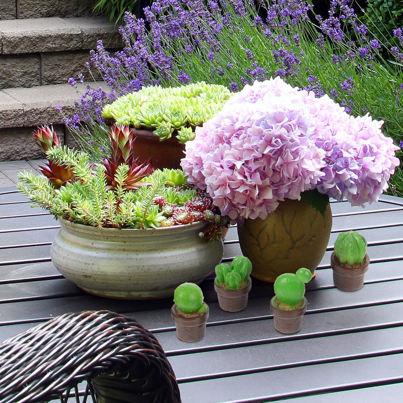 6Pcs Cactus Ornament Landscape Cactus Ornament Bonsai Decor Craft Planter Decoration - Image 4