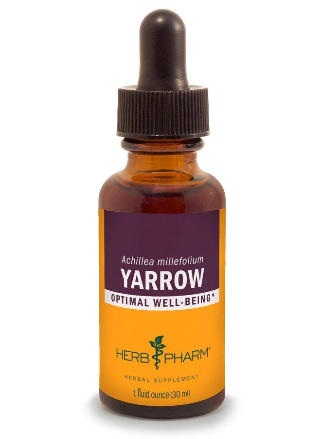 Herb Pharm Yarrow Flowering Tops Liquid Extract - 1 Ounce - Image 1
