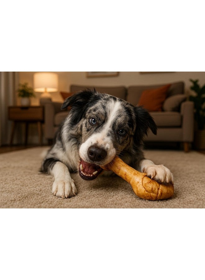 Pet Factory American Beefhide 12" Knotted Bone Dog Chew Treat - Peanut Butter Flavor, 1 Count/1 Pack - Image 2