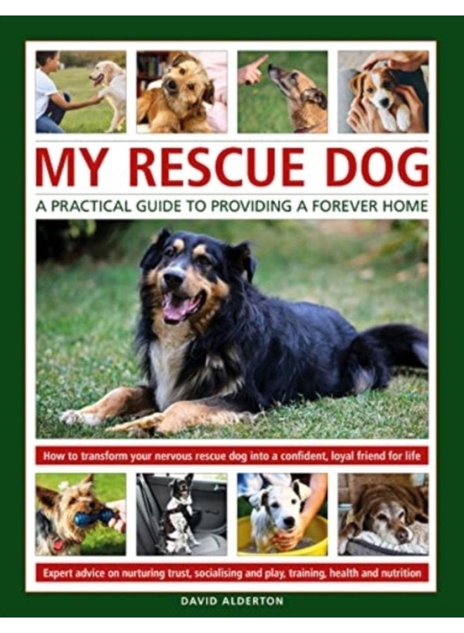 My Rescue Dog A practical guide to providing a forever home How to understand and transform your nervous rescue dog into a happy confident loyal friend for life Expert advice on nurturing trust - Hardback