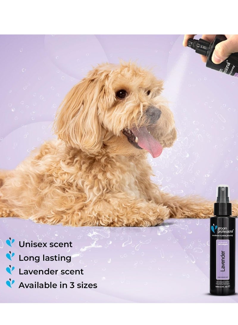 Groom Professional Lavender Cologne 100ml - Image 3