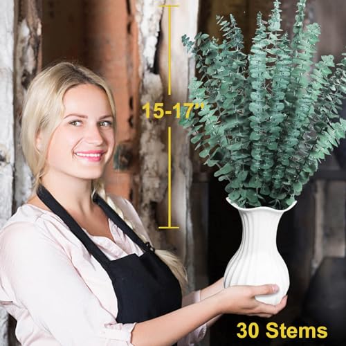 FUKUOKA Bulk Package 30 PCS Real Dried Eucalyptus Plant Large Stems for Shower, Natural Fresh Eucalyptus Leaves,17'' Hanging for Self-Care Shower Leave Bundle, Arrangement, Wedding, Home Decor - Image 4