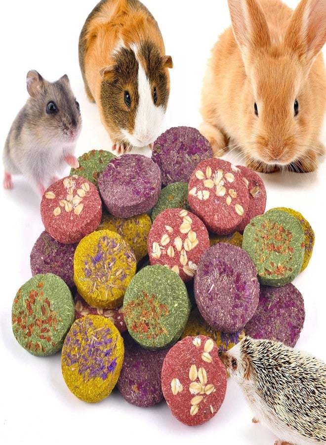 ERKOON 24Pcs Bunny Chew Toys, Small Animal Molar Toys Timothy Grass Beet Sweet Potato Pumpkin Cake Treats for Guinea Pig Hamster Bunny Chinchilla Gerbil, 100% Natural Rabbit Chews and Treats - Image 1