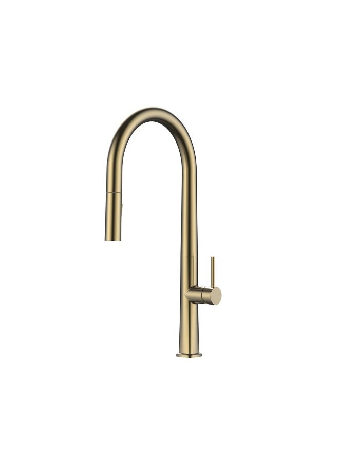 DANUBE HOME Milano Tina Pullout Sink Mixer - Brushed Gold Finish Sink Basin Tap For Kitchen Solid Brass Body Sink Faucet |Water Control Valve For Washbasin Modern Kitchen Fixtures - Image 1