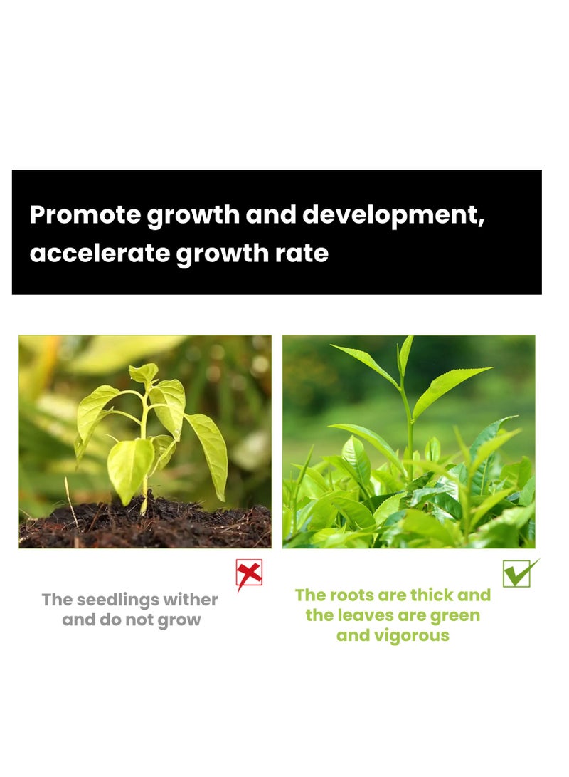 MOONSPRY 50ml Plant Activation Liquid Solution – Plant Resurrection & Growth Enhancer, Liquid Fertilizer for Seedlings, Rooting Hormones for Cuttings, Plant Growth Supplement - Image 5