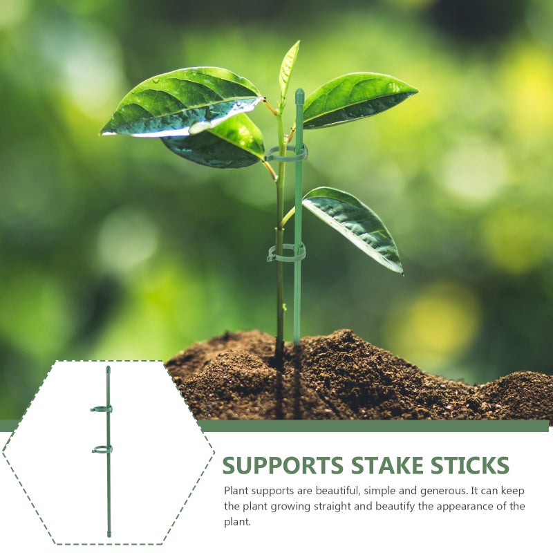 1 Set of Garden Plant Support Stakes Garden Single Stem Floral Flower Support Stake for Tomatoes - Image 2