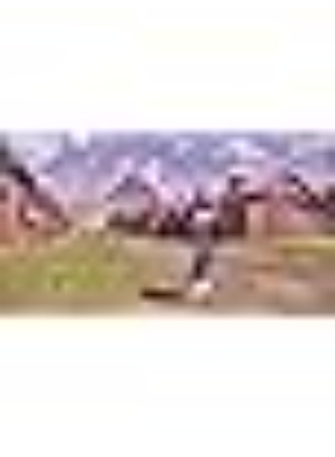 SWITCH 0 Pokémon Legends: ArcEUs - Nintendo Switch - Image 5