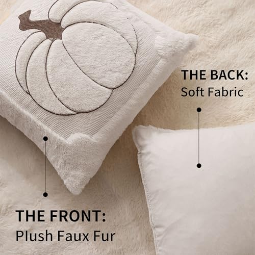 Allorry Fall Pillow Covers 18x18 Set of 2 Fall Cream White Pumpkin Embroidery Throw Pillow Covers Soft Plush Faux Fur Cushion Covers for Sofa Bedroom Living Autumn Thanksgiving Home Decor PT010E18 - Image 3