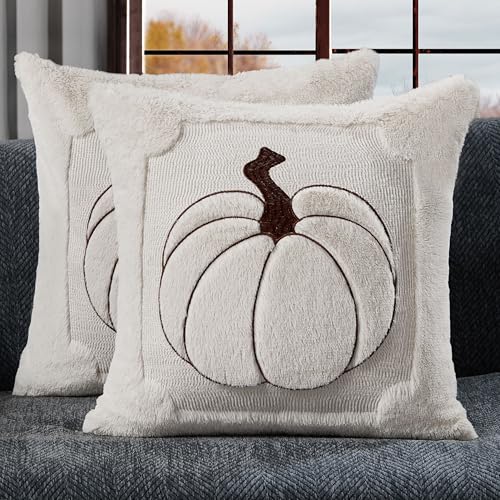 Allorry Fall Pillow Covers 18x18 Set of 2 Fall Cream White Pumpkin Embroidery Throw Pillow Covers Soft Plush Faux Fur Cushion Covers for Sofa Bedroom Living Autumn Thanksgiving Home Decor PT010E18 - Image 1