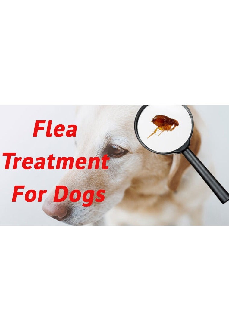 Safeline - Anti-Fleas & Ticks Spray For Dogs 120ml - Image 1