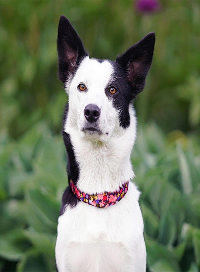 كيوكيو بيتس طوق كلاب ناعم قابل للتعديل من QQPETS: مزين بنقوش زهور وردية متعددة الألوان لطيفة، مناسب للحيوانات الأليفة من الجنسين، صغير وكبير، للمشي والجري والتدريب. - Image 2