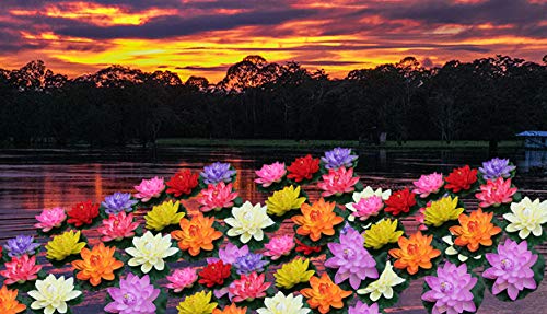 Homenique Artificial Floating Lotus with Rubber Leaf for Home Decoration Multicolour - Image 2