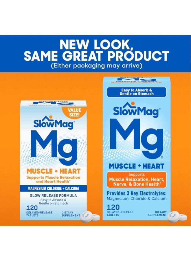 Slow-Mag SlowMag Mg Muscle + Heart Magnesium Chloride with Calcium Supplement Tablet, 120 Count Packaging May Vary - Image 3