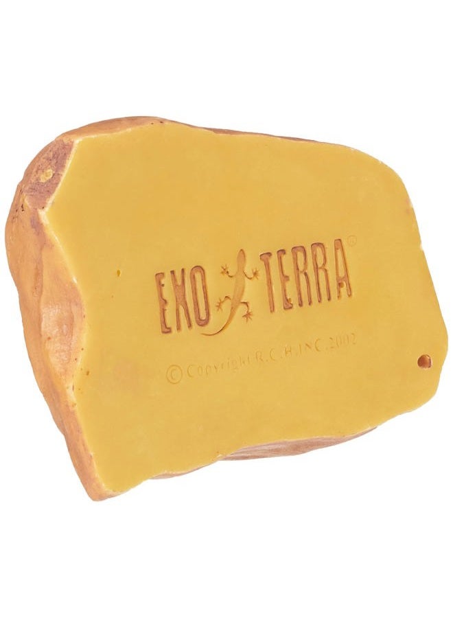 Exo Terra وعاء ماء، متوسط - Image 3