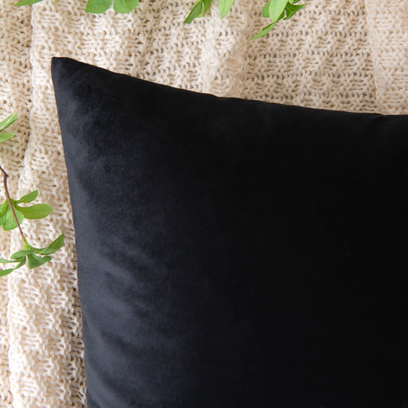 EMEMA Pack of 2 Velvet Throw Pillow Covers Decorative Square Pillowcase Soft Solid Cushion Case for Sofa Bedroom Chair Car 20x20 Inch Black - Image 2