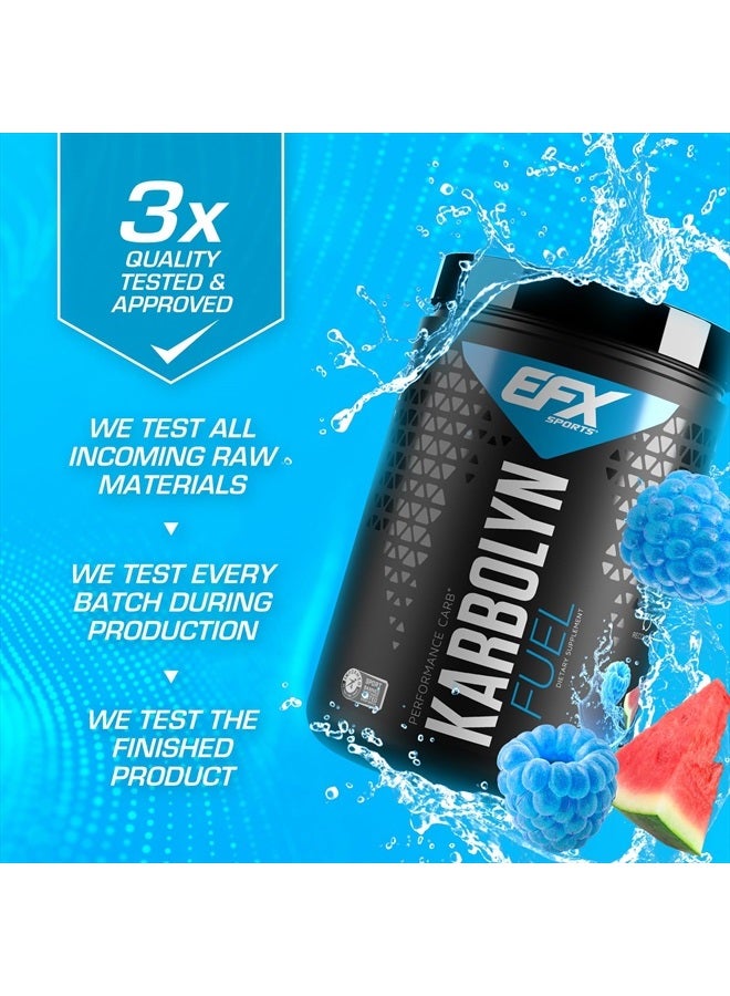 EFX SPORTS كاربولين فيول | مسحوق كربوهيدرات سريع الامتصاص | تحميل الكربوهيدرات، طاقة مستدامة، استشفاء سريع | خالي من المنشطات | 18 حصة (بطيخ أزرق رزاز) - Image 4