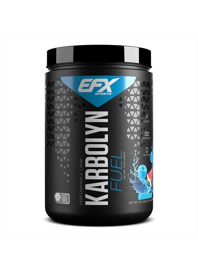 EFX SPORTS كاربولين فيول | مسحوق كربوهيدرات سريع الامتصاص | تحميل الكربوهيدرات، طاقة مستدامة، استشفاء سريع | خالي من المنشطات | 18 حصة (بطيخ أزرق رزاز) - Image 1