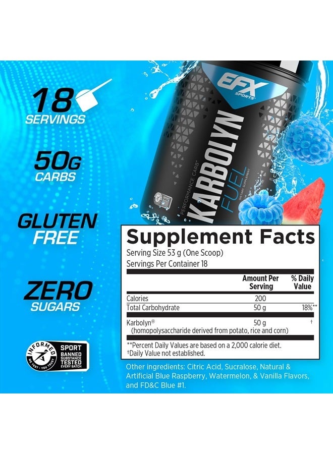 EFX SPORTS كاربولين فيول | مسحوق كربوهيدرات سريع الامتصاص | تحميل الكربوهيدرات، طاقة مستدامة، استشفاء سريع | خالي من المنشطات | 18 حصة (بطيخ أزرق رزاز) - Image 2