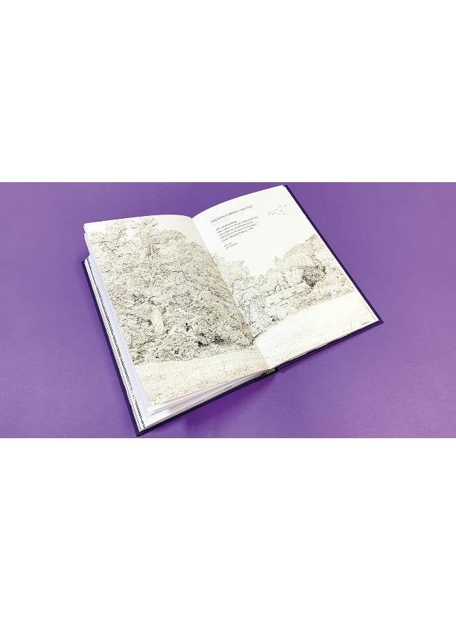 Drawn to Nature: Gilbert White and the Artists  - Image 5
