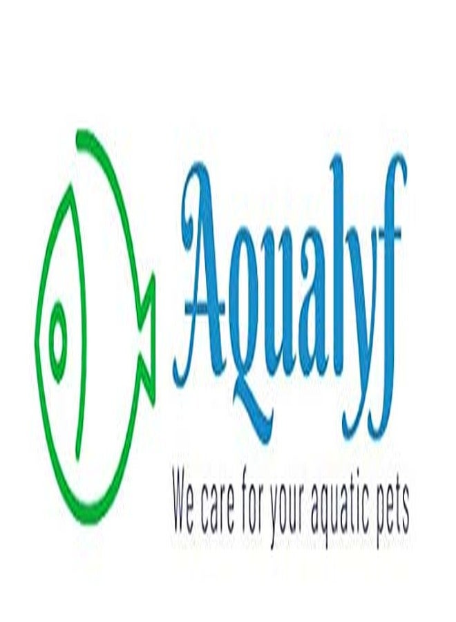 AQUALYF PETS Aquarium Biochemical Filter Sponge Pad (30cms X 50 cms) Pack of 2 - White - Image 2