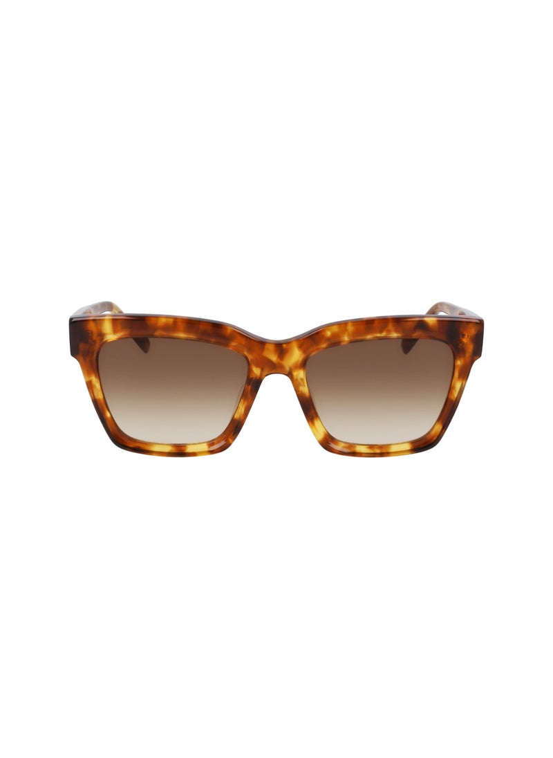 DKNY FULL RIM ACETATE ACETATE DKNY SUN DK551S 5318 (243) HONEY TORTOISE  - Image 2