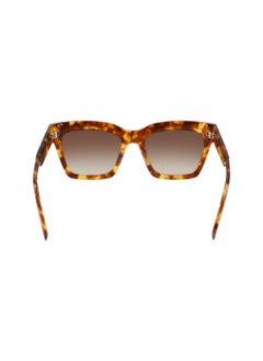 DKNY FULL RIM ACETATE ACETATE DKNY SUN DK551S 5318 (243) HONEY TORTOISE  - Image 5