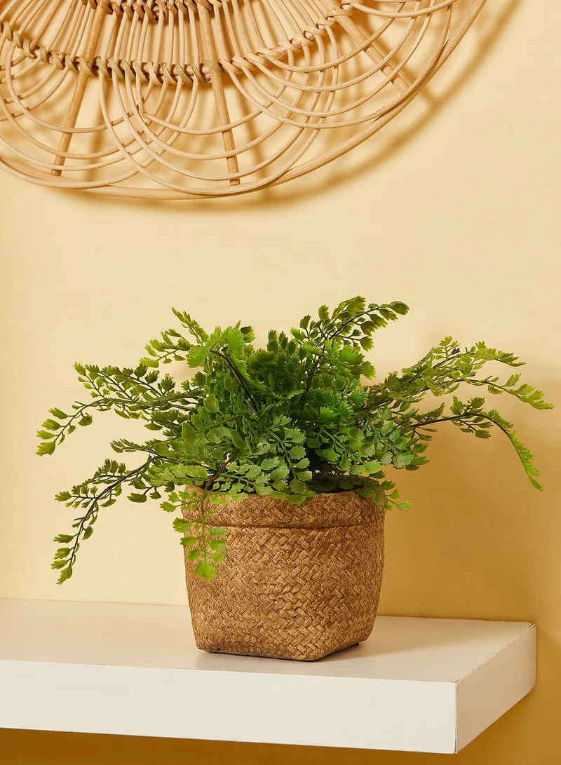 AURORA Rattan Effect Cement Flower Pot