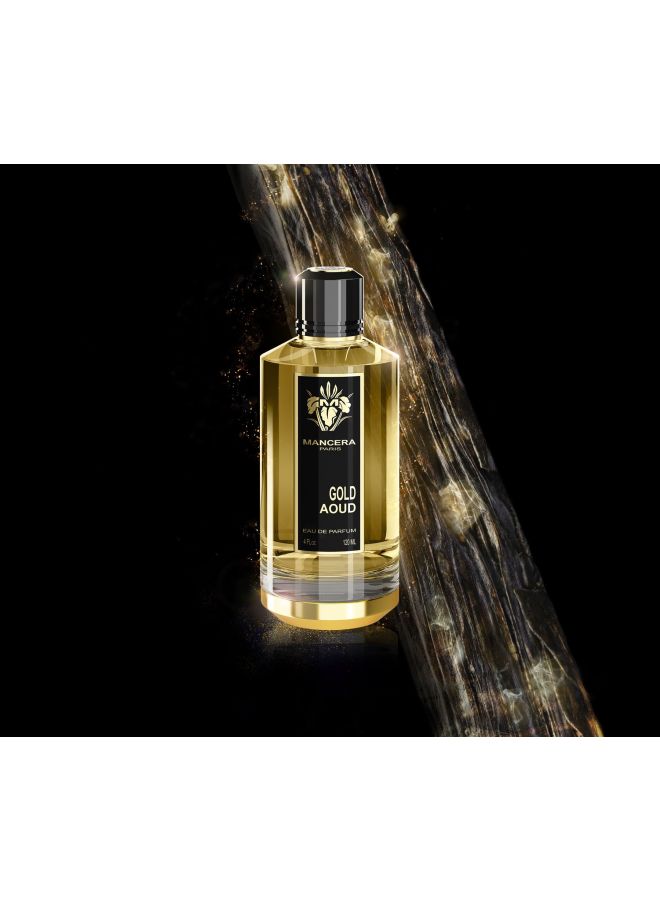 Mancera Gold Aoud EDP 120ml - Image 3
