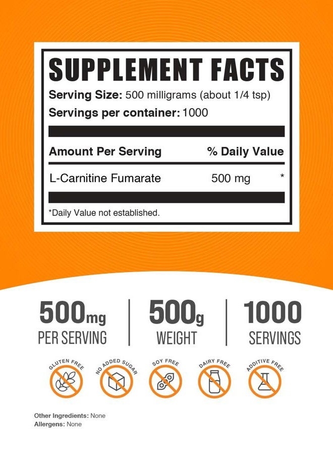 BulkSupplements .com L-Carnitine Fumarate Powder - Carnitine Supplement, Carnitine Powder, L-Carnitine 500mg - Gluten Free, 500mg per Serving, Gluten Free, 500g (1.1 lbs) (Pack of 1) - Image 2