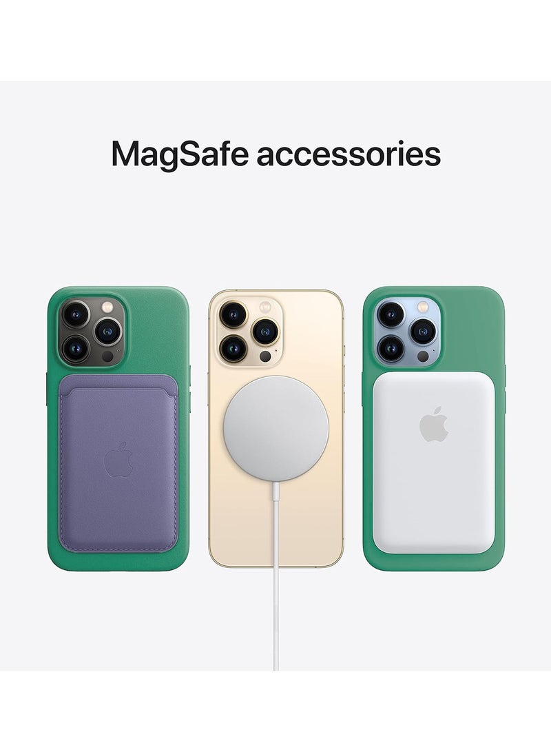 Wtech Soft Liquid Silicone Case Cover With MagSafe For Apple iPhone 15 Pro Max 2023 Spring Green - Image 3