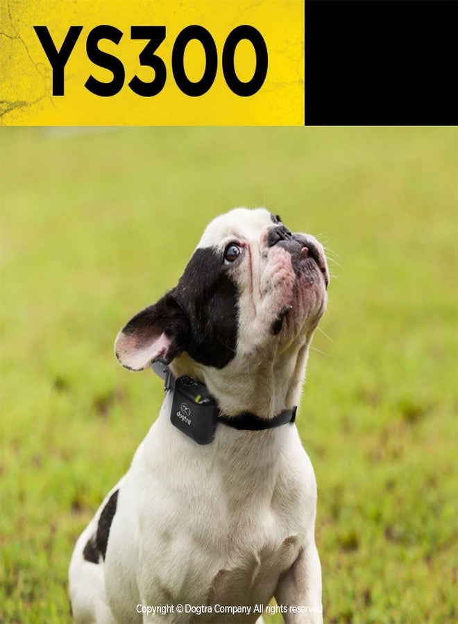 Dogtra YS300 Anti Bark Dog Collar for Small and Medium Dogs, Adjustable 6 Stimulation Levels, Vibration Warning, Low to Medium Output, Waterproof, Rechargeable w/PetsTEK Clicker - Image 4