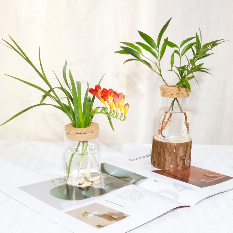 wangsdjy Separated Desktop Glass Flower Vases - Ideal Plants Propagation Stations for Living Room, Bedroom Decoration,Home Decor (2) - Image 3