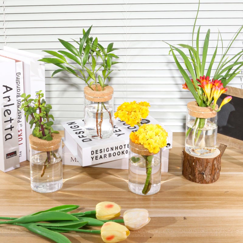 wangsdjy Separated Desktop Glass Flower Vases - Ideal Plants Propagation Stations for Living Room, Bedroom Decoration,Home Decor (2) - Image 5