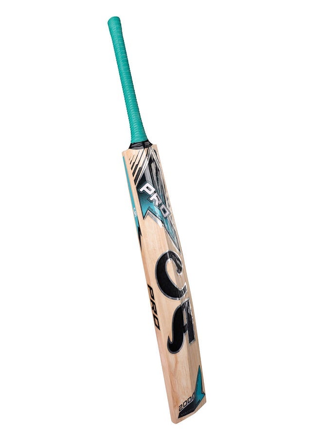 CA PRO 2K English Willow Cricket Bat - SH - Image 2