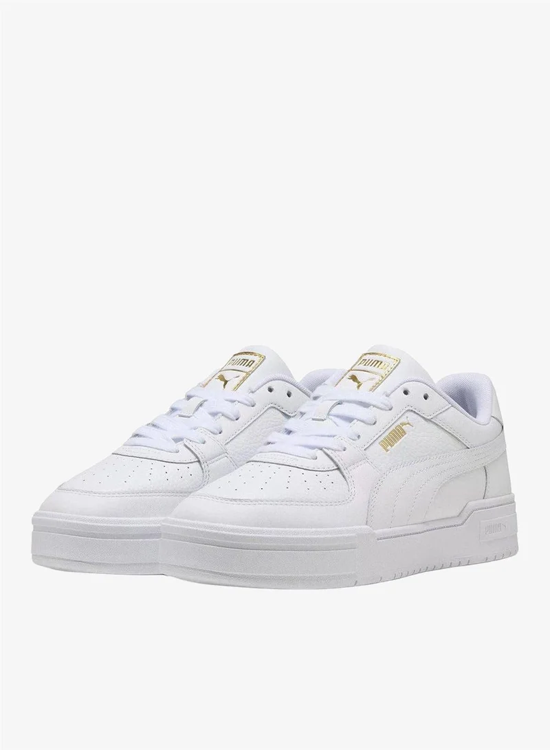 بوما كابرو كلاسيك