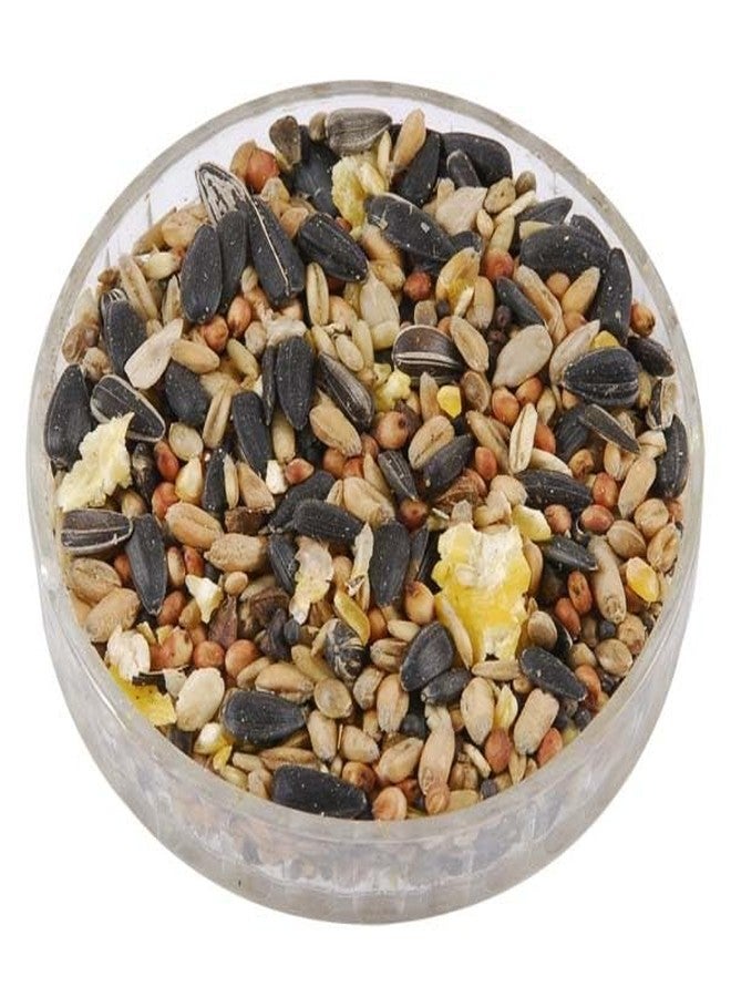عبوة طعام للطيور وزنها 500 غرام - Image 5