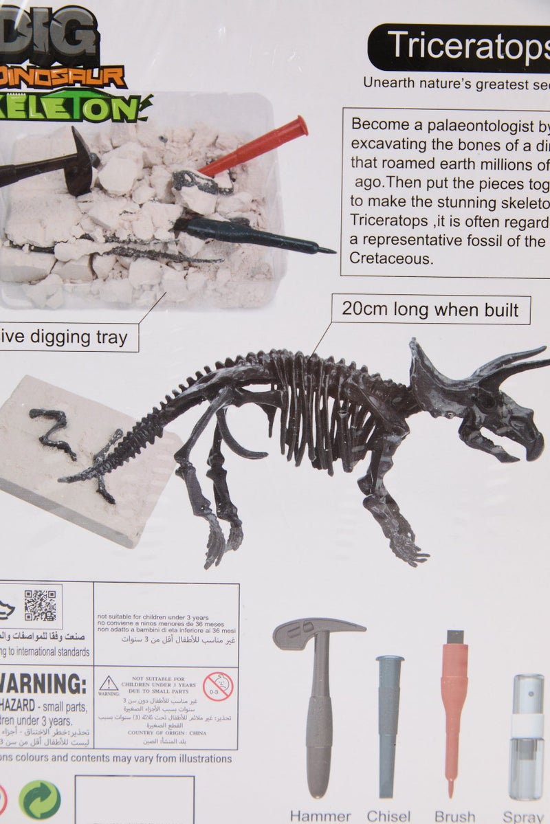STEM Triceratops Skeleton Dig Kit - Image 5